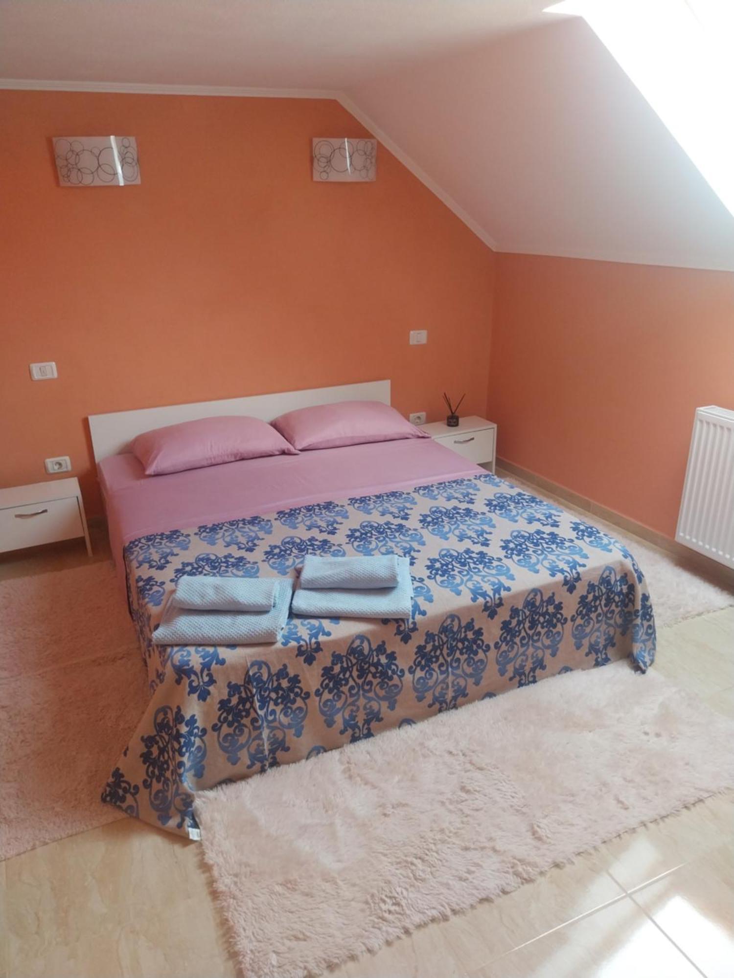 Serena House Cîrţişoara Extérieur photo