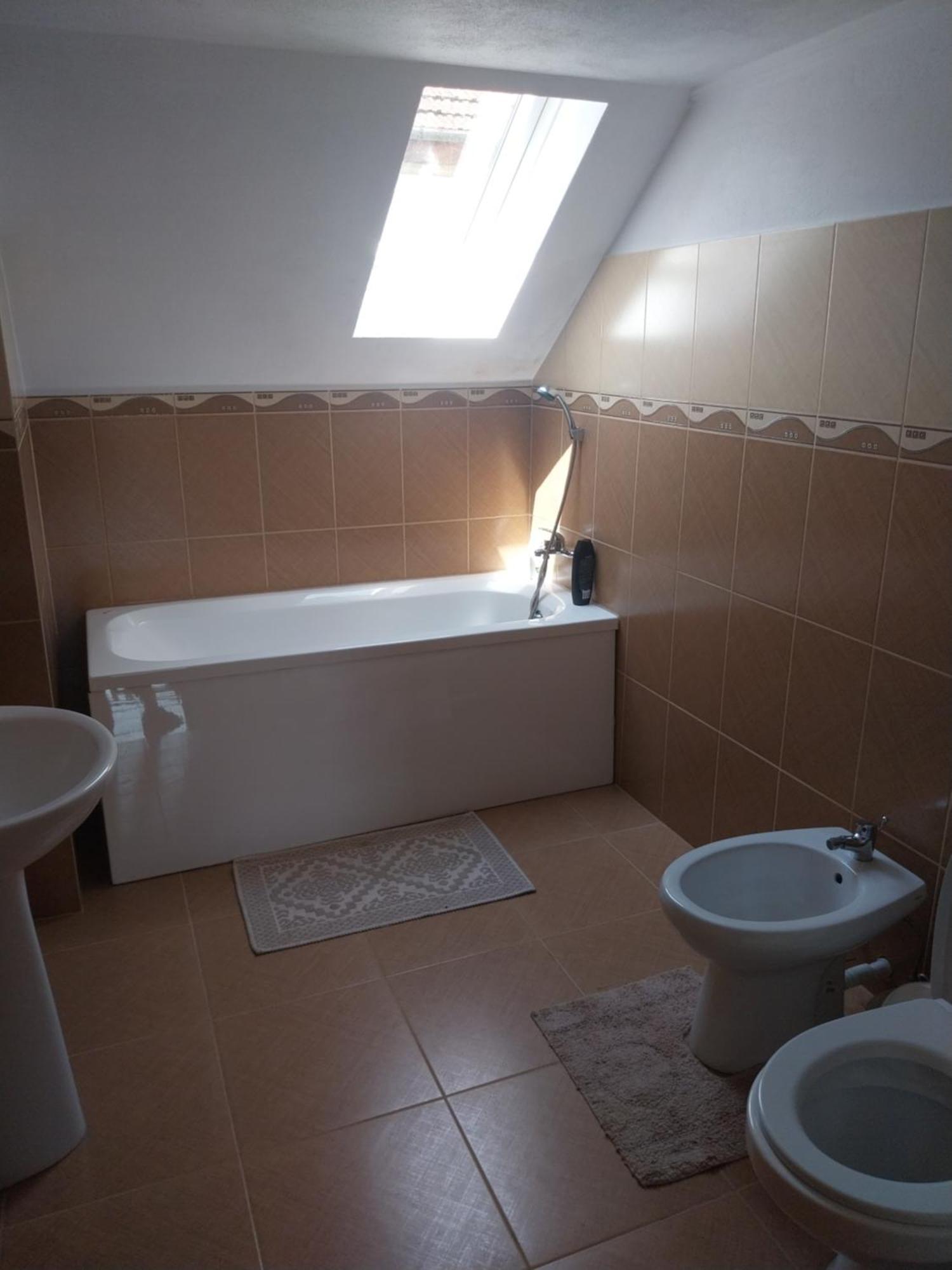 Serena House Cîrţişoara Extérieur photo