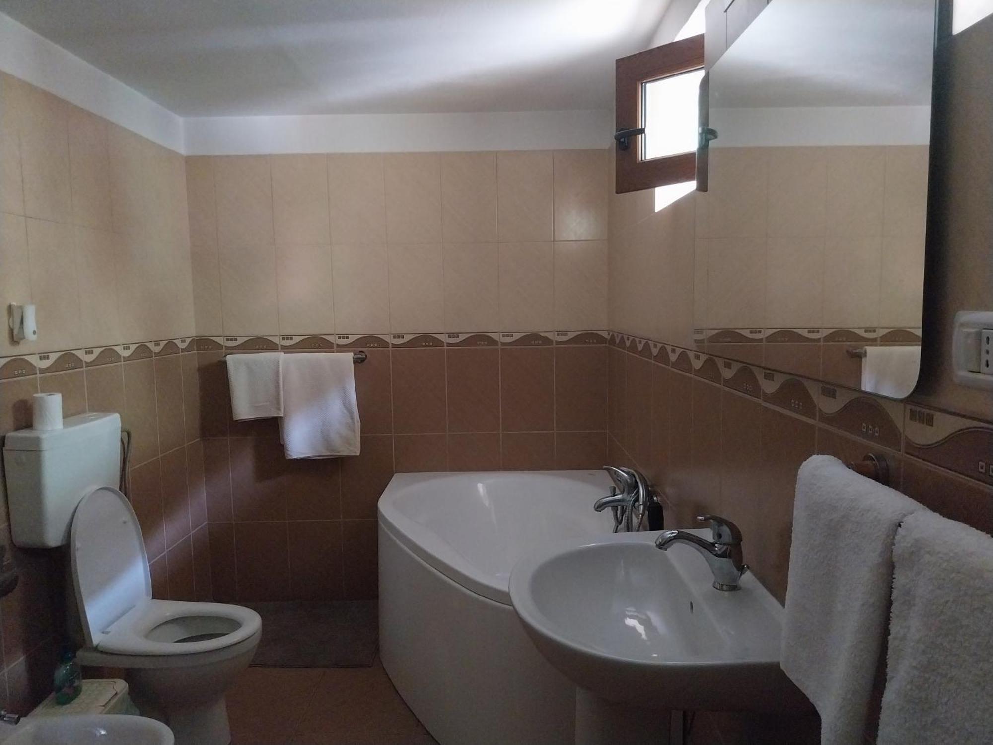 Serena House Cîrţişoara Extérieur photo