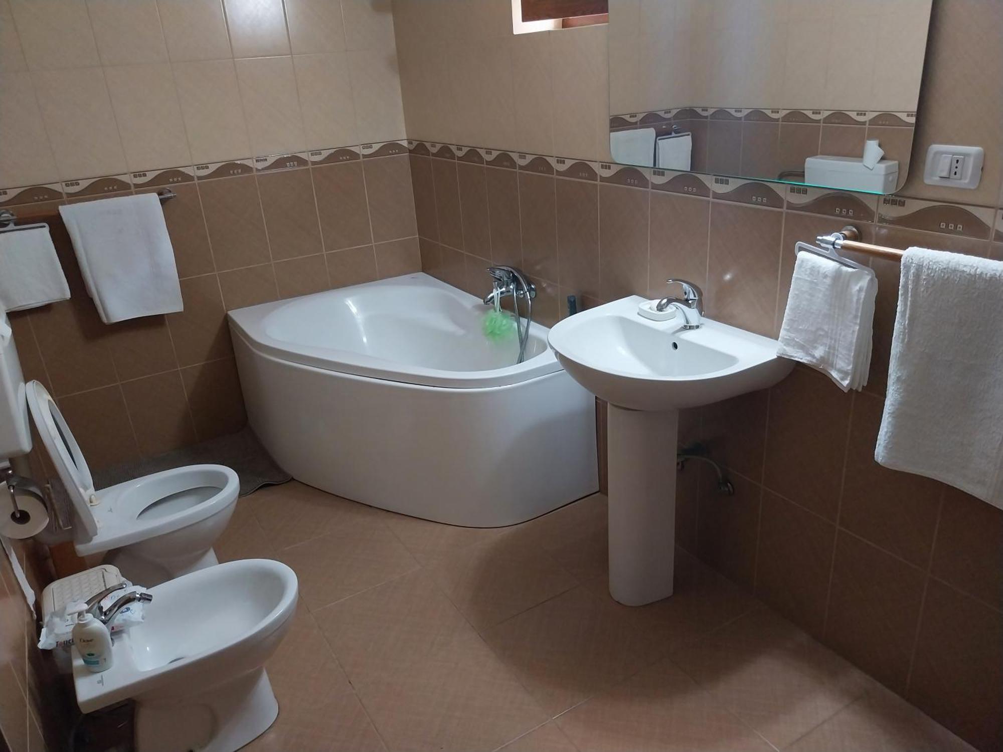 Serena House Cîrţişoara Extérieur photo