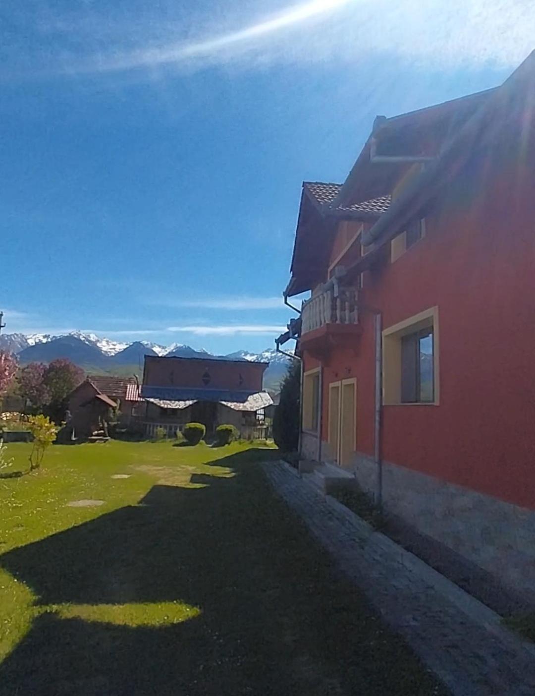 Serena House Cîrţişoara Extérieur photo